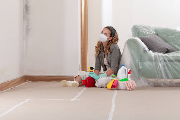 Reliable Mold Cleanup contractor in Moncure, NC by Cheap Mold Removal